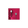 Rycote Gray Under Coverse - Pack de 30 utilisations