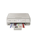 Canon TS5020 PIXMA  Wireless Inkjet All in One Printer, Gray