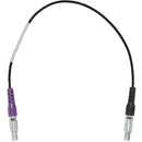 Câble Teradek Arri Run / Stop pour le récepteur Mdr.x (18 ")