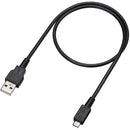 Écouteurs sans fil Sony Wi-C300 avec micro - bleu