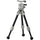 Tilta BT03 Carbon Fiber Tabletop Tripod with Ball Head (Snow White)