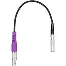Teradek Rt Mdr.x Cable adaptateur Ctrl Latitude Ctrl (7.9 ")