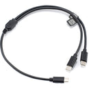 Tilta USB-C vers le double câble d'alimentation du séparateur USB-C