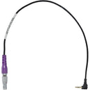 Teradek Lanc Run / Stop Cable pour le récepteur mdr.x (16 ")