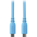 RODE SC17 USB-C to USB-C Cable (Blue, 5')