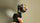 Tilta ND Filter Kit for Osmo Pocket 4P (Without Filter Carrying Case)
