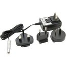 Adaptateur Teradek 18W AC au LEMO à 2 broches (6 ')