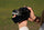 Panasonic Lumix GH7 sans miroir caméra avec lentille Leica 12-60 mm f2.8-4