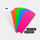 CRDBAG CRDTABS Card Tabs for CRDPOUCH Pouch Label Window (Rainbow, 20-Pack)