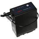 Teradek Panasonic VW-VGB6 Battery Pack with 10" Barrel Adapter to 2-Pin Lemo Cable