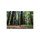 Lowepro LP36888 Photo Sport 200 AW II