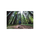Lowepro LP36888 Photo Sport 200 AW II