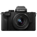 Panasonic Lumix G100 Mirrorless Camera