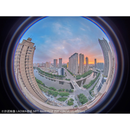 Laowa 4mm f/2.8 Fisheye Lens for Micro Four Thirds