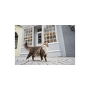 Sony FE 28-60mm F4-5.6 Full-frame Compact Zoom Lens