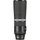 Canon RF 800mm f/11 IS STM Lens