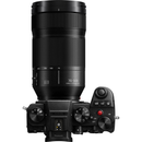 Panasonic Lumix S 70-300mm f/4.5-5.6 MACRO O.I.S. Lens