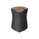 Haut-parleur sans fil Sony SRS-RA5000