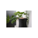 Haut-parleur sans fil Sony SRS-RA5000