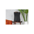 Haut-parleur sans fil Sony SRS-RA5000