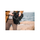 Lowepro Flipside 300 AW II Camera Backpack