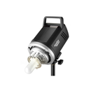 Godox MS300-F 2-Monolight Kit