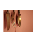 Panasonic Leica DG Vario-summilux 25-50mm f1.7 (50-100mm equiv.)