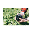 Sony ZV-E10 Mirrorless Camera