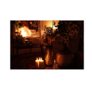 Sony ZV-E10 Mirrorless Camera with 16-50mm lens