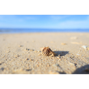 Canon RF 16mm f/2.8 STM Lens