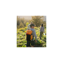 Lowepro LP37443 RunAbout BP 18L Collapsible Backpack