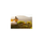 Lowepro LP37443 RunAbout BP 18L Collapsible Backpack