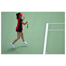 Nikon Nikkor Z 100-400 mm f / 4,5-5,6 VR S