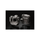 Nikon Z9 Mirrorless Camera
