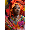 Nikon Z9 Mirrorless Camera