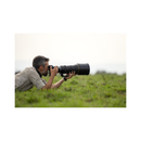 Nikon NIKKOR Z 400mm f/2.8 TC VR S Lens