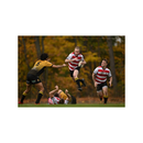 Nikon NIKKOR Z 400mm f/2.8 TC VR S Lens