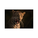 Nikon NIKKOR Z 400mm f/2.8 TC VR S Lens