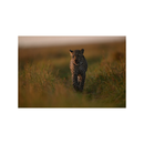 Nikon NIKKOR Z 400mm f/2.8 TC VR S Lens