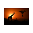 Nikon NIKKOR Z 400mm f/2.8 TC VR S Lens