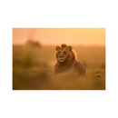 Nikon NIKKOR Z 400mm f/2.8 TC VR S Lens