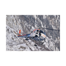 Nikon NIKKOR Z 800mm f/6.3 VR S Lens