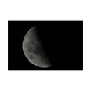 Nikon NIKKOR Z 800mm f/6.3 VR S Lens