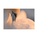 Nikon NIKKOR Z 800mm f/6.3 VR S Lens