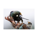 Nikon NIKKOR Z 800mm f/6.3 VR S Lens