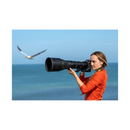 Nikon NIKKOR Z 800mm f/6.3 VR S Lens