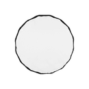 Westcott Beauty Dish Switch