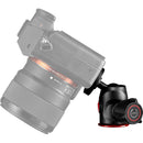 Manfrotto MH492 BH Micro Ball Head