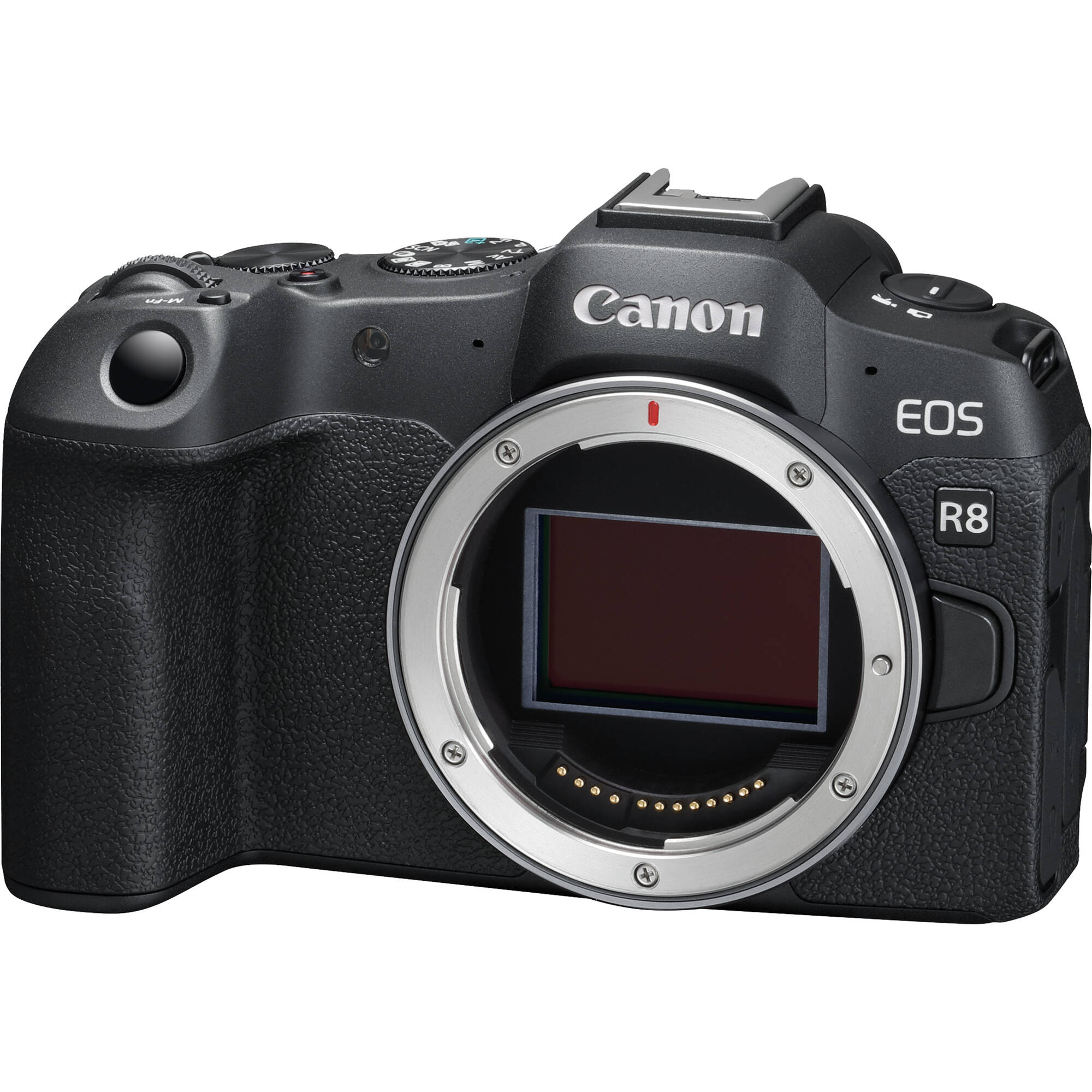 Canon EOS R8 Mirrorless Camera - Body Only
