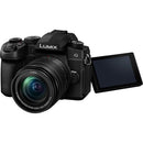 Panasonic Lumix G95 Mirrorless Camera with 12-60mm Lens